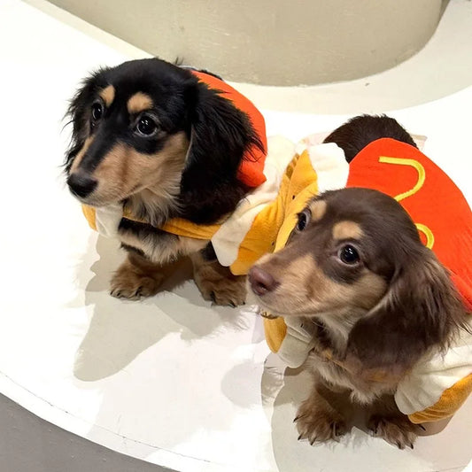 Halloween Hot Dog Costume for Small & Large Dogs and Cats