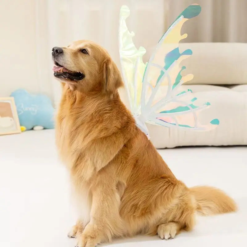 Electric Waving Fairy Wings - Musical Pet Costume - Halloween Dog Apparel - Unique Halloween Outfit