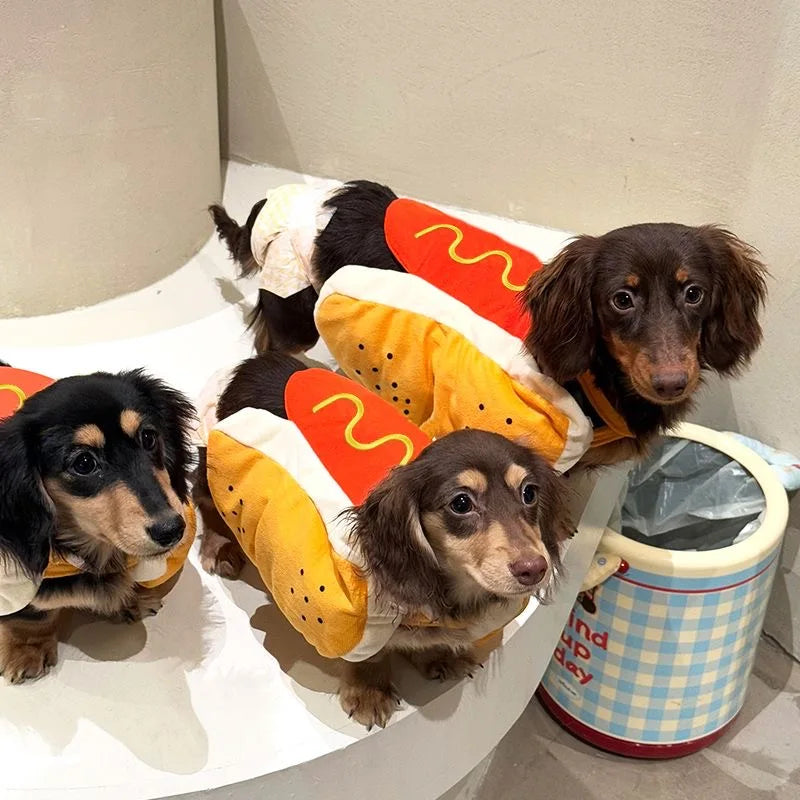 Halloween Hot Dog Costume for Small & Large Dogs and Cats
