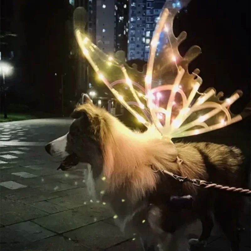 Electric Waving Fairy Wings - Musical Pet Costume - Halloween Dog Apparel - Unique Halloween Outfit