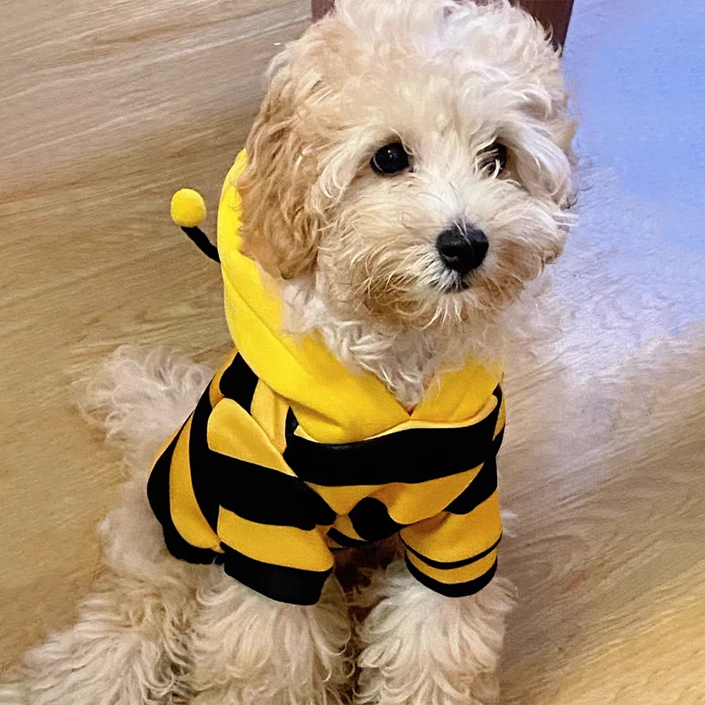 Cute Bumble Bee Dog Hoodie - Halloween Pet Costume