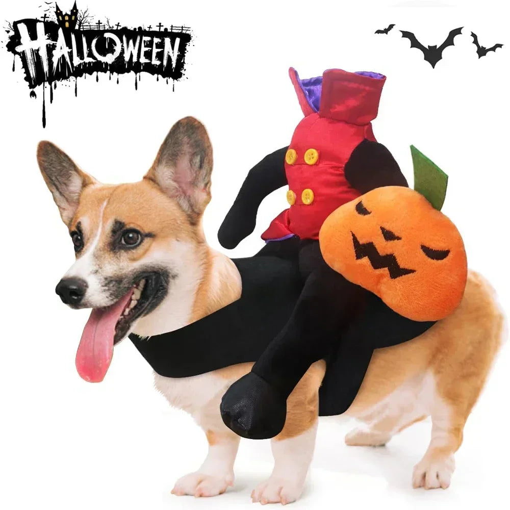 Headless Pumpkin Rider Pet Costume - Funny Halloween Dog Outfit - Halloween Party Cosplay