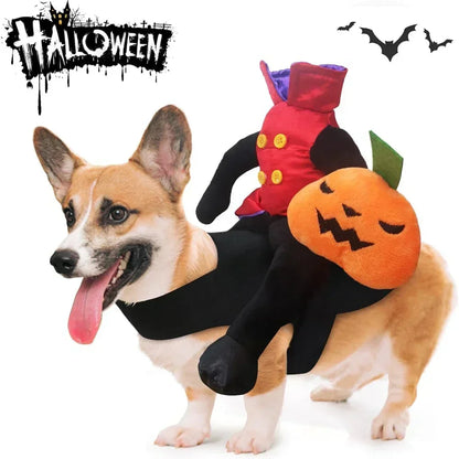 Headless Pumpkin Rider Pet Costume - Funny Halloween Dog Outfit - Halloween Party Cosplay
