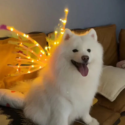 Electric Waving Fairy Wings - Musical Pet Costume - Halloween Dog Apparel - Unique Halloween Outfit