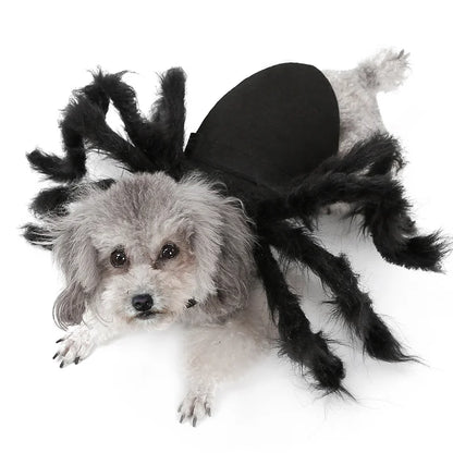 Halloween Spider Costume for Small & Medium Dogs & Cats