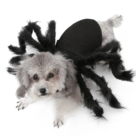 Halloween Spider Costume for Small & Medium Dogs & Cats