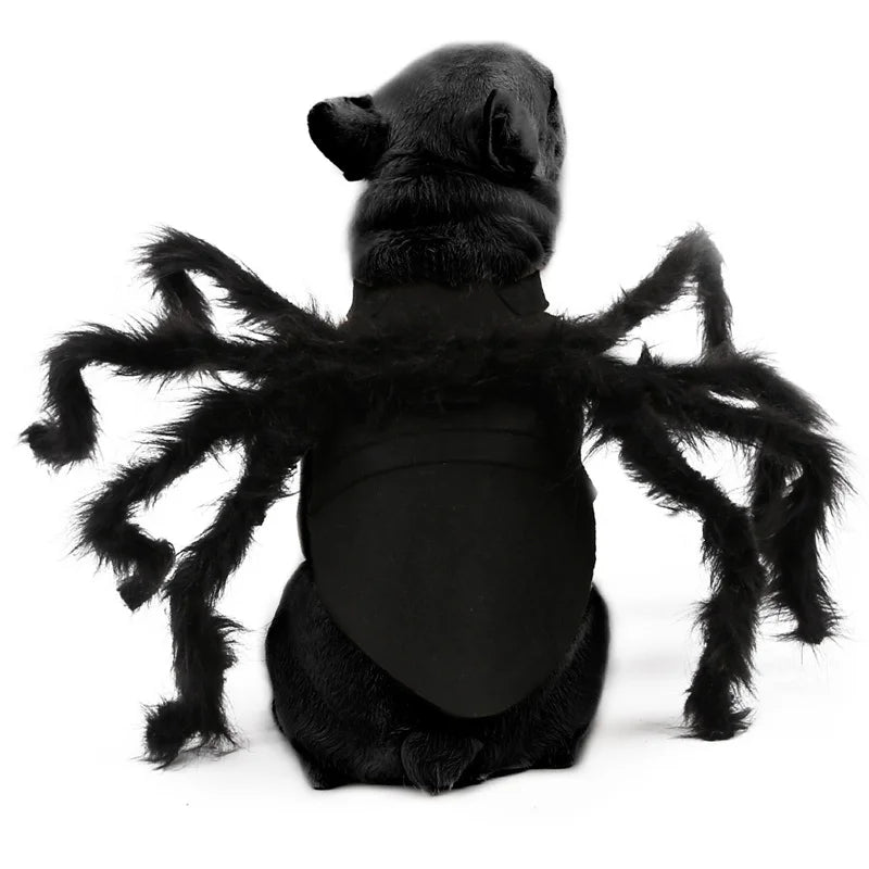 Halloween Spider Costume for Small & Medium Dogs & Cats