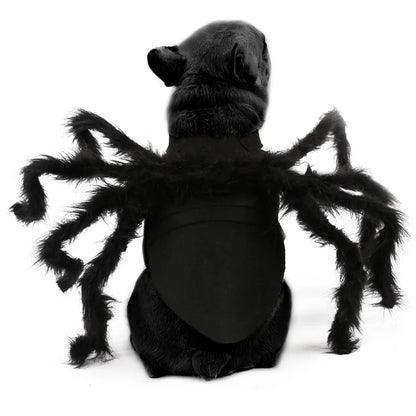 Halloween Spider Costume for Small & Medium Dogs & Cats