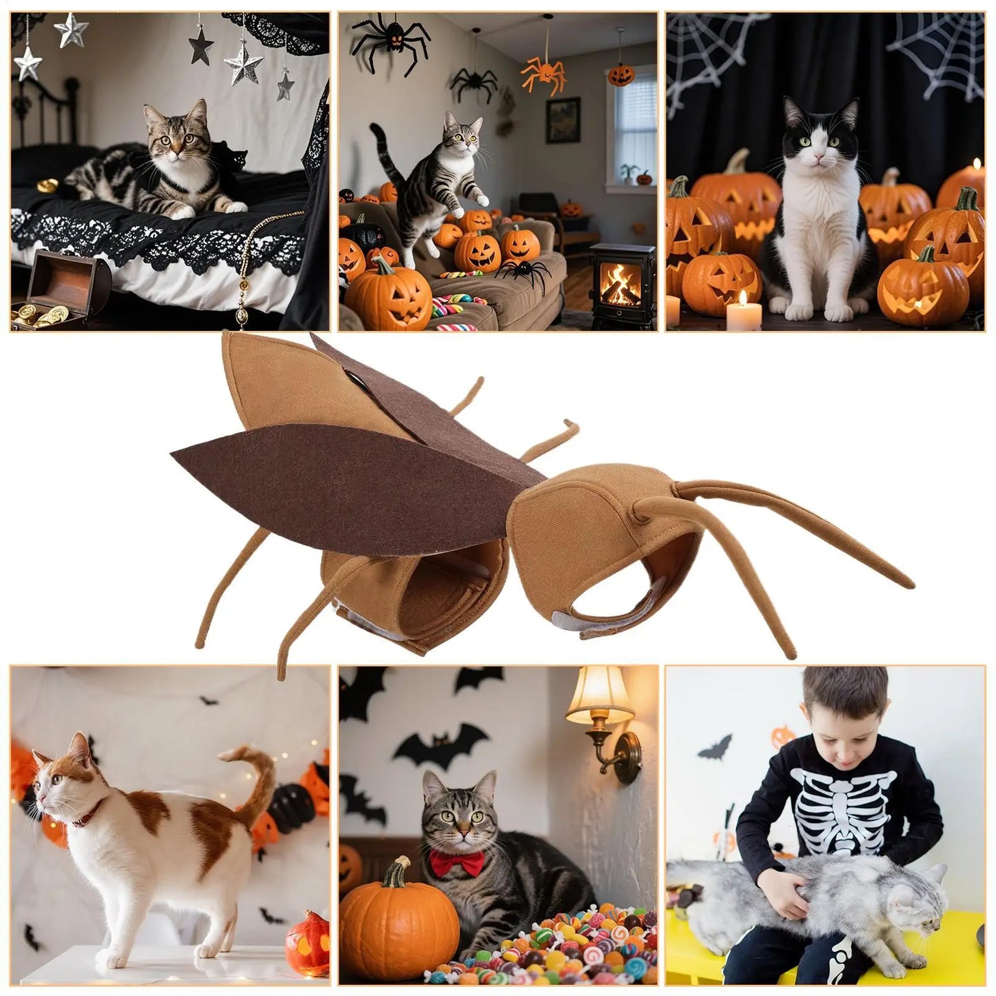 Realistic Cockroach Halloween Costume for Cats & Small Dogs