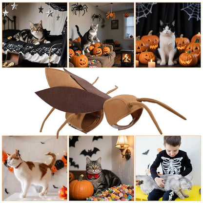 Realistic Cockroach Halloween Costume for Cats & Small Dogs