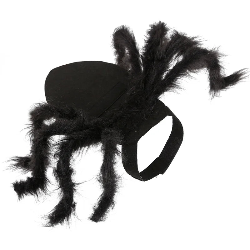 Halloween Spider Costume for Small & Medium Dogs & Cats
