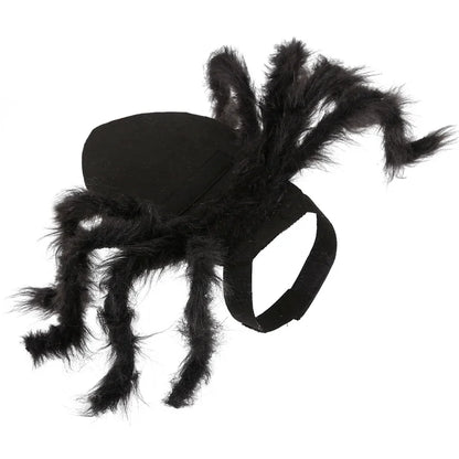 Halloween Spider Costume for Small & Medium Dogs & Cats