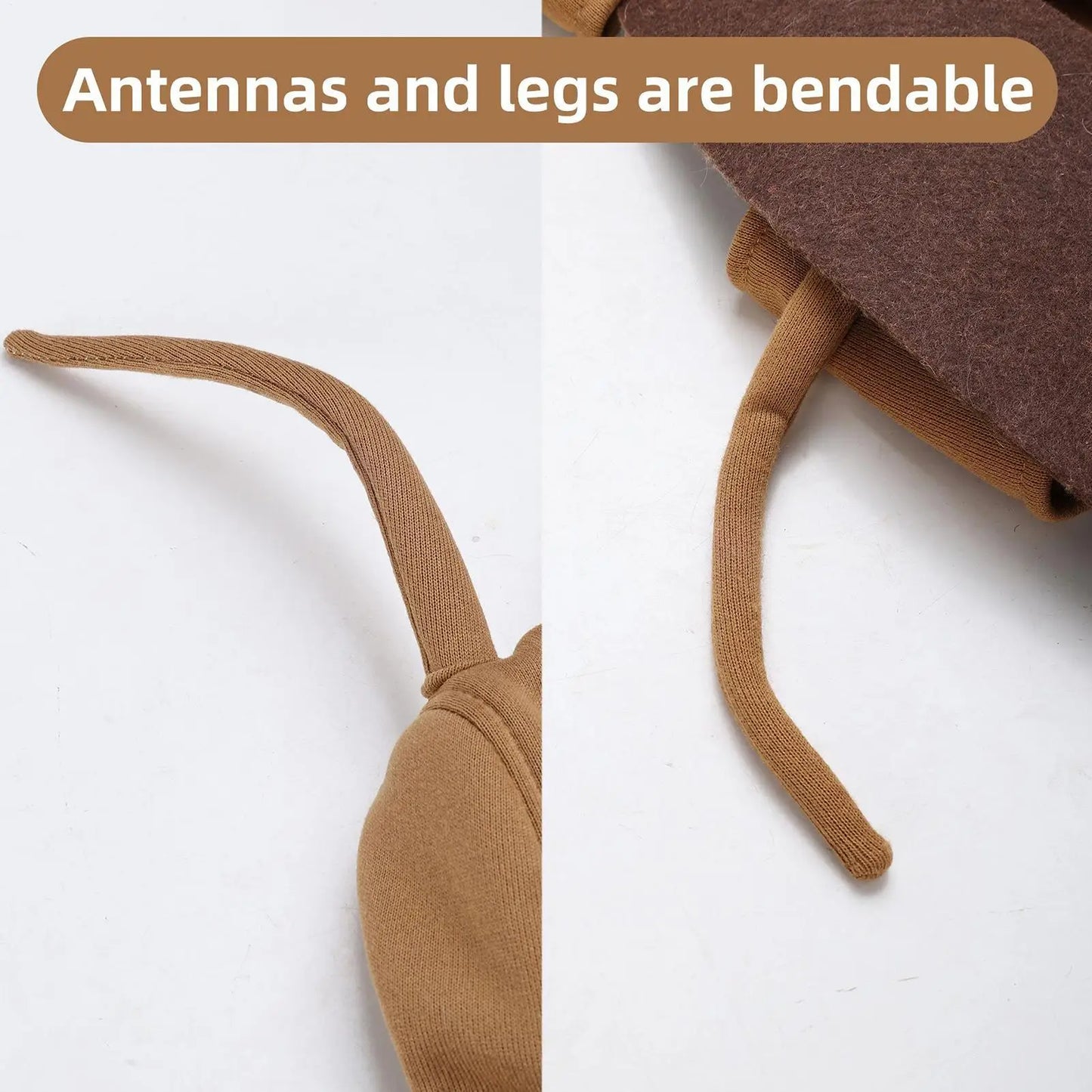 Realistic Cockroach Halloween Costume for Cats & Small Dogs