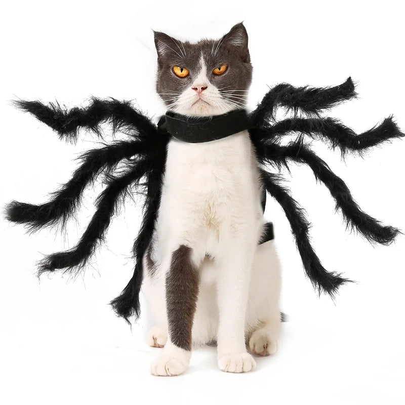 Halloween Spider Costume for Small & Medium Dogs & Cats