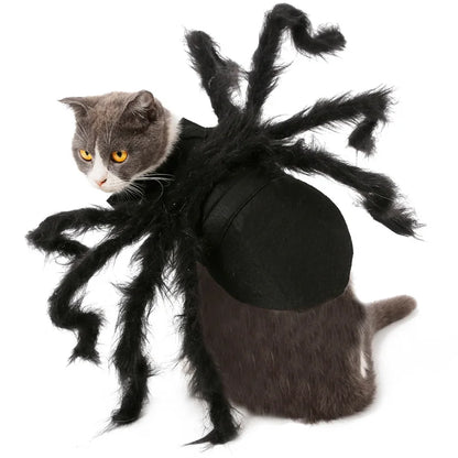 Halloween Spider Costume for Small & Medium Dogs & Cats