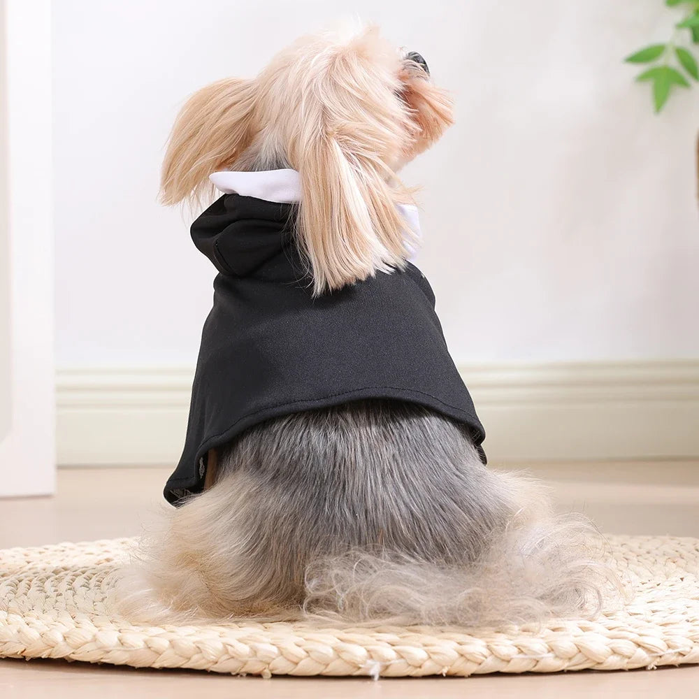 Funny Halloween Jesus Nun Costume for Small & Medium Dogs & Cats