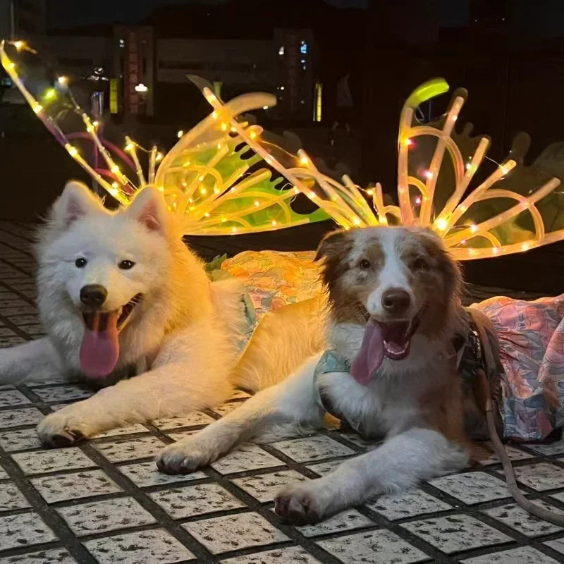 Electric Waving Fairy Wings - Musical Pet Costume - Halloween Dog Apparel - Unique Halloween Outfit