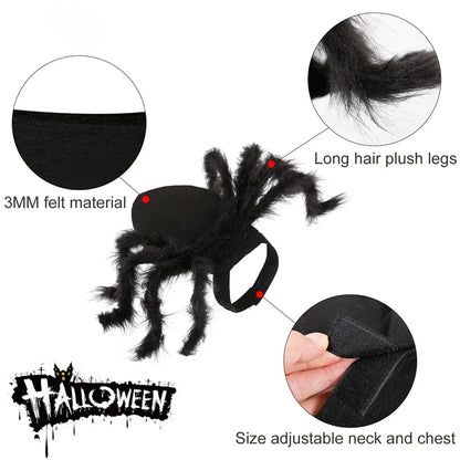 Halloween Spider Costume for Small & Medium Dogs & Cats